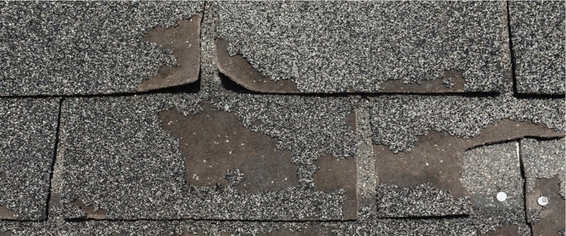 Causes of Roof Damage and How to Prevent Them