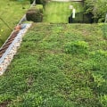 Maintenance and Installation Considerations for Green Roofs